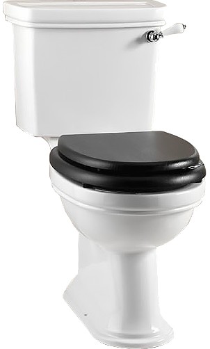 Унитаз напольный Devon & Devon Rose (IBWCROSE)