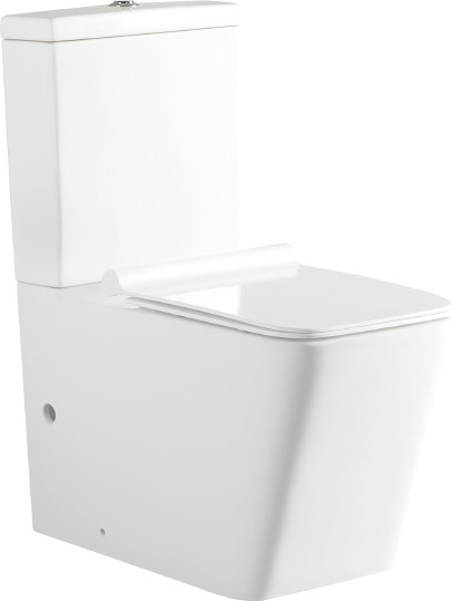Унитаз напольный Aquanet Rimless Tavr 2.0 C1 LX-2905