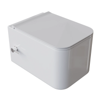 Унитаз подвесной Boheme Mane 970-SET-2-W безободковый, с функцией биде, с сиденьем микролифт, белый