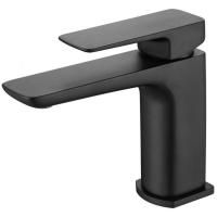 Смеситель для раковины Allen Brau Infinity 5.21001-31 черный матовый