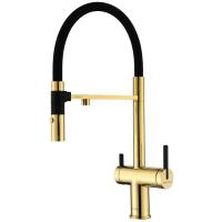 Смеситель для кухни с подключением к фильтру Paulmark Gravity Gr213188-G золото/ черный