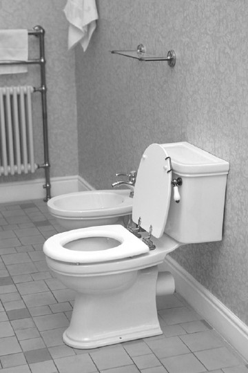 унитаз напольный devon & devon rose (ibwcrose)