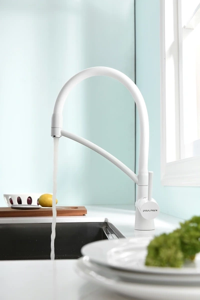 смеситель для кухни с фильтром paulmark siegen si213111-431tw + h851p00