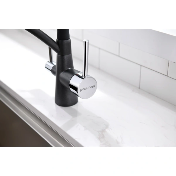 смеситель для кухни с фильтром paulmark siegen si213111-418 + h851p00