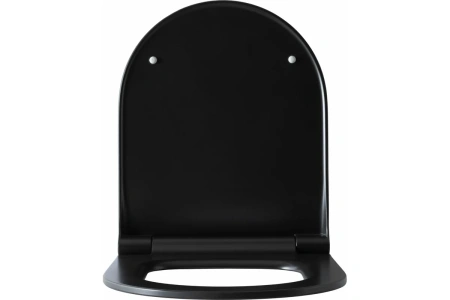 сиденье для унитаза allen brau priority 4.31004.31 черный матовый с микролифтом