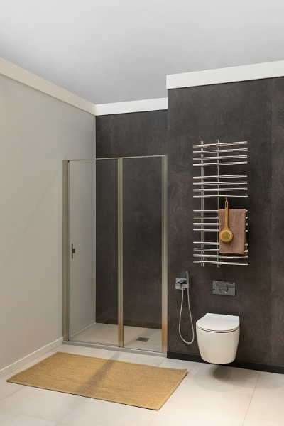 душевая дверь allen brau priority 160 3.31038.ba профиль серебро браш, стекло прозрачное