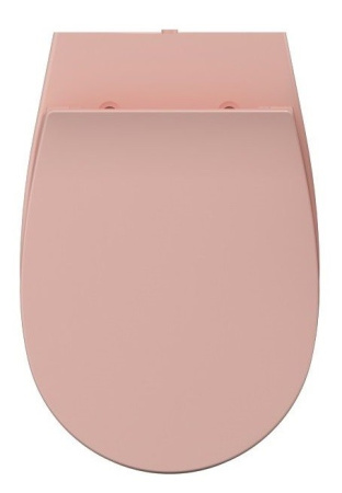 Сиденье для унитаза ISVEA Sentimenti Neo 40D40541I-S цвет лососевый матовый