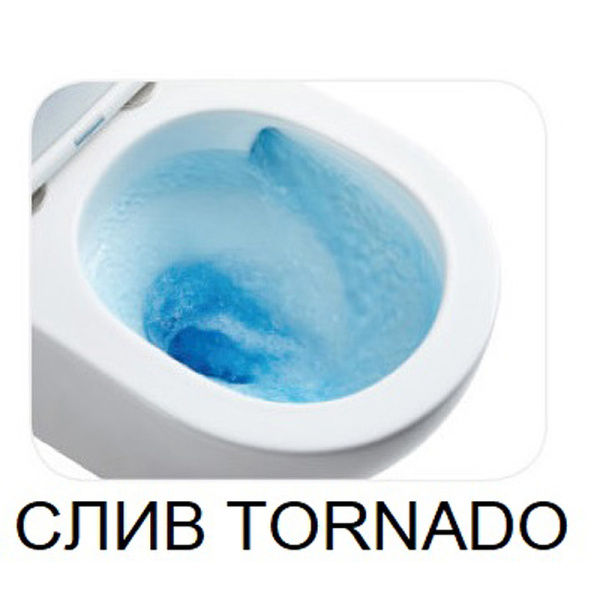 унитаз компакт weltwasser salzbach 011 gl-wt 10000011688 с бачком и сиденьем микролифт