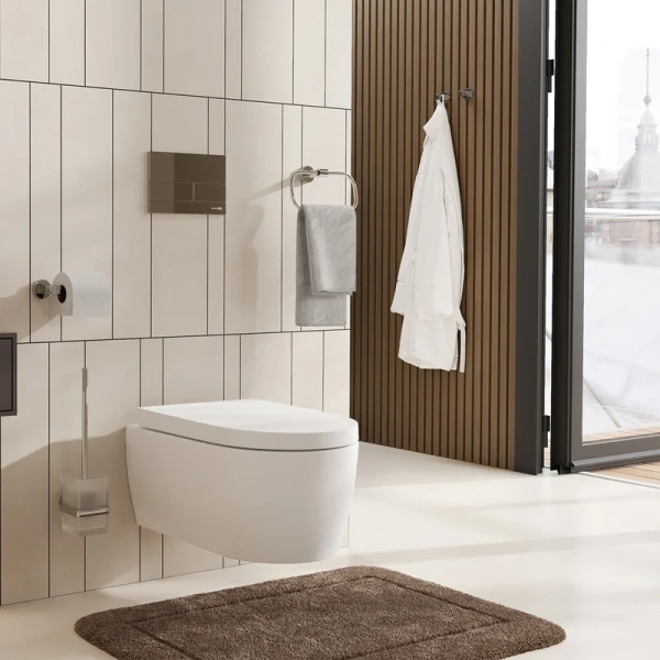 Ёршик для унитаза Wasserkraft Mosel 46627 хром