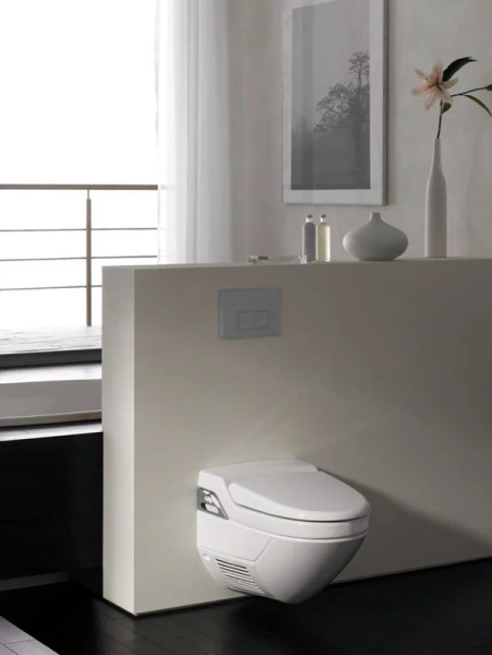 смывная клавиша 115.135.46.1